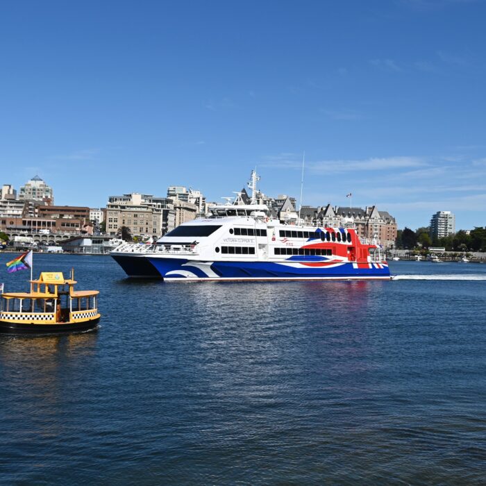 Save 25% on Select Weekday Sailings!