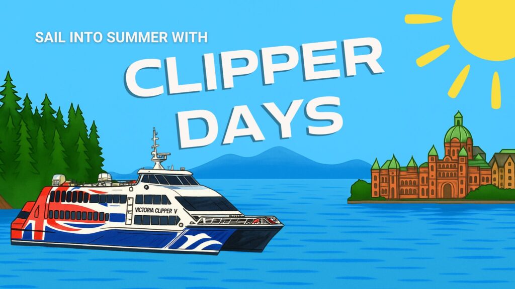 Sail into Summer with Clipperdays