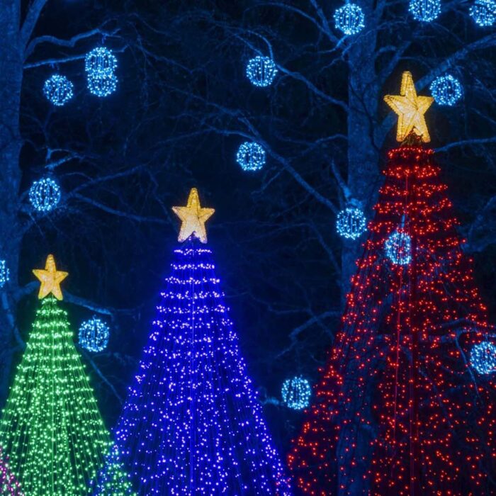 Events in Victoria Worth Traveling for in 2025