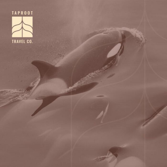 First Stories of the Salish Sea: An Indigenous-Led Cultural Experience on the Salish Sea